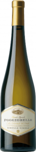 Ribolla_Gialla